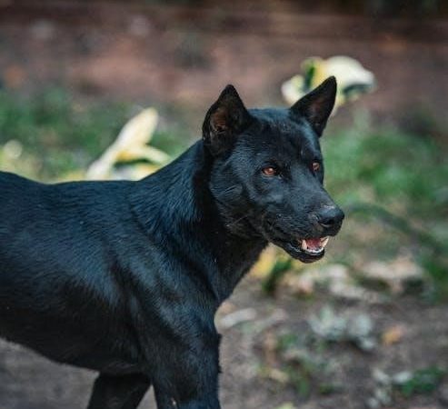 my accidental husband is a billionaire pdf free download