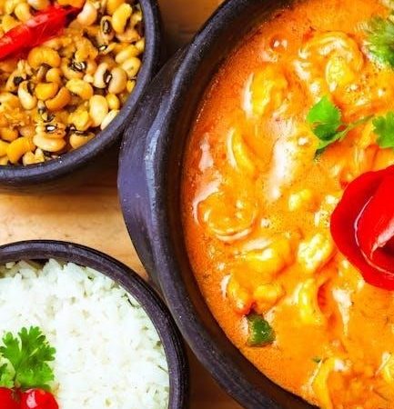 imusa rice cooker instructions pdf