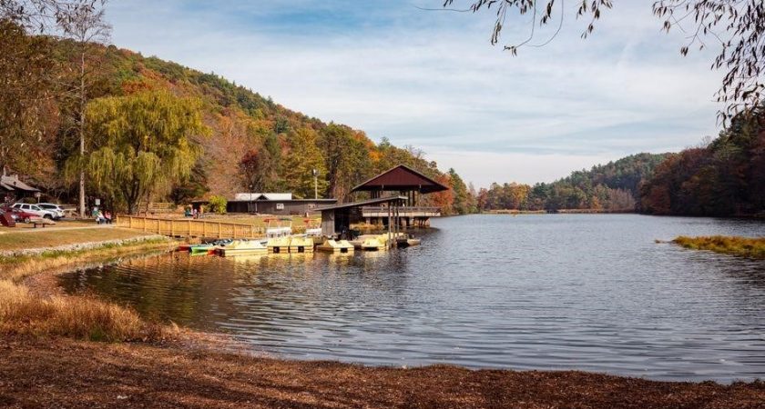 beech fork campground map pdf